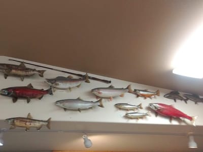 Permafrost Distributors