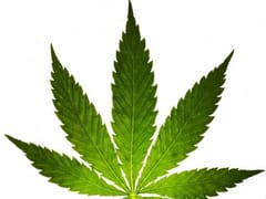 PHB (CBD) Boutique PHB