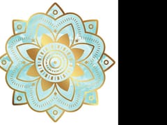 Pittsfield Canna Supply/Your CBD Store-Pittsfield, MA