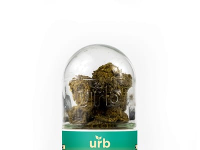 Pittsfield Canna Supply/Your CBD Store-Pittsfield, MA