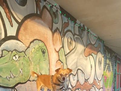 Planet K Texas - Central