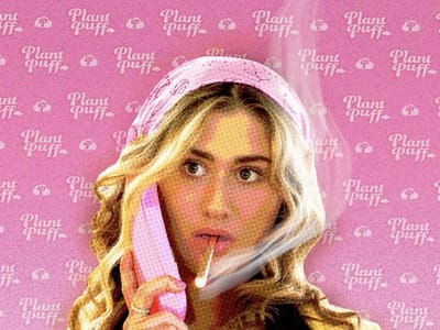 Plant Puff Hemp Dispensary | Delta 8 | THC-O