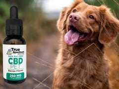 Premium CBD Oil Missouri I True Spectrum