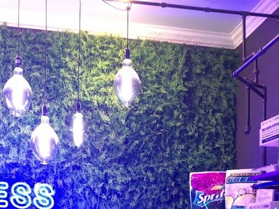 Press Release CBD Shop and Dispensary