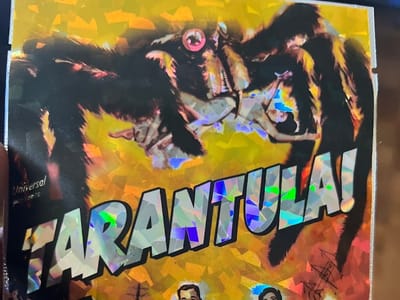 Press Release CBD Shop and Dispensary