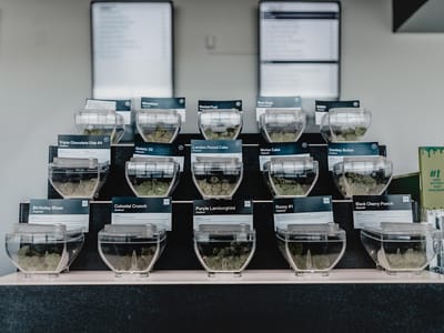 Pure Options Mt Pleasant