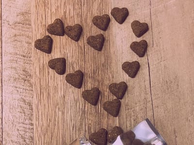 Purely CBD of Asheville NC