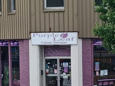 Purple Leaf LLC