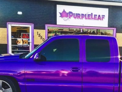 PurpleLeaf
