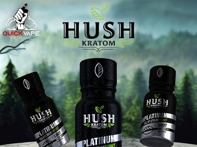 Quick Vape Dickinson / Vapor Outlet