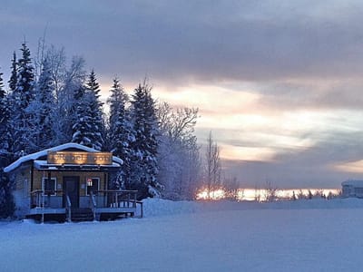 Rebel Roots Gold Stream