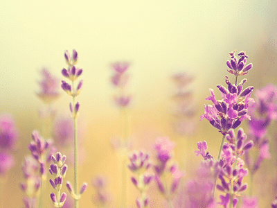 Renew from Head to Toe