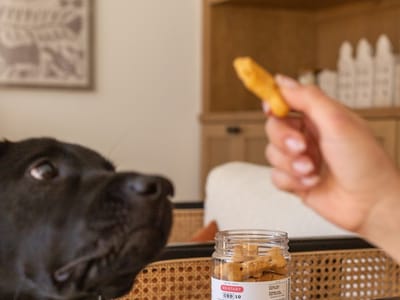 RESTART CBD - North Austin