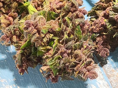 RGV Grown (Cannabis Dispensary- CBD - THC - Smoke Shop)