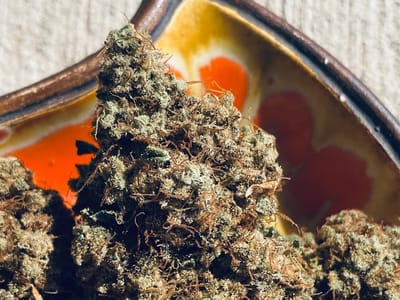 RGV Grown (Cannabis Dispensary- CBD - THC - Smoke Shop)