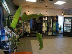 River Bluff Collective