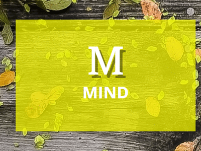 River Falls Hemp Wellness