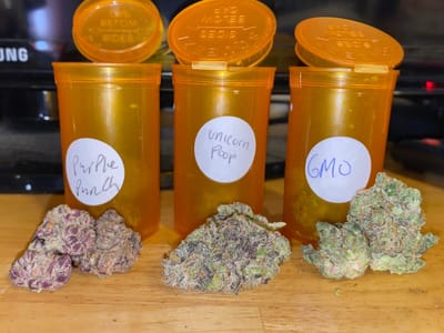 Rock Steady Remedies