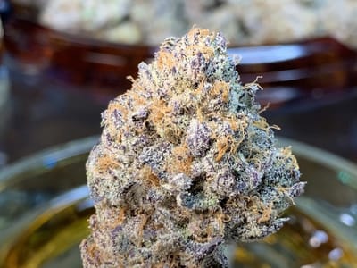 Rock Steady Remedies