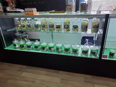 Rocky Mountain Remedies