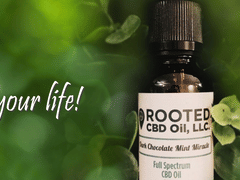 Rooted CBD Oil, LLC