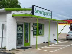 Sacred Leaf - Lawrence