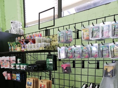 Sacred Leaf - Lawrence