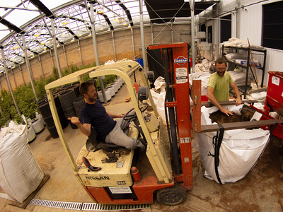 San Juan Strains, Inc.