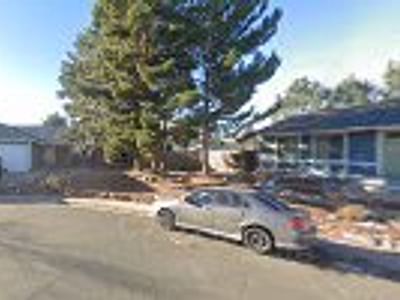 Seabedee - CBD oil Colorado