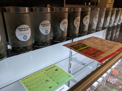 Serene Wellness Winter Park