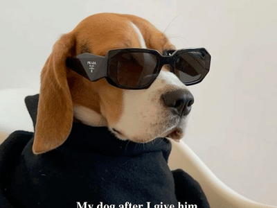 Simple Pure CBD & Aromatherapy