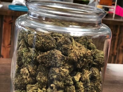 South Texas Natural Wellness