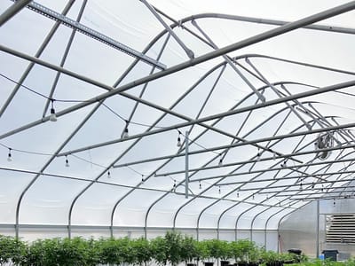 Southern Sota Wellness