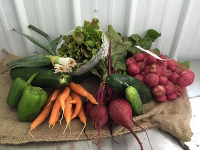 Southern Sota Wellness