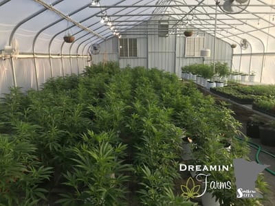 Southern Sota Wellness