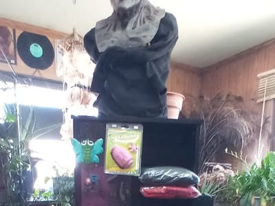 Splatterz Exotic Smoke Shop