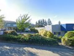 Standard CBD Online Store