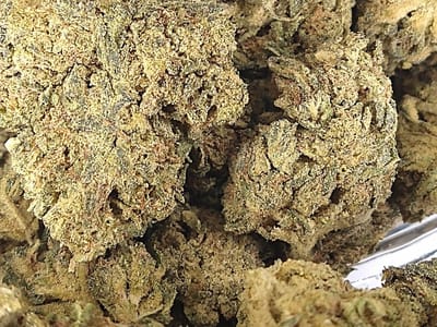 Studio 13 Dispensary