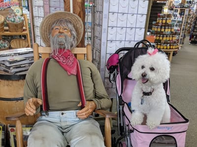 Sunshine Daydream Lake Ozark, MO