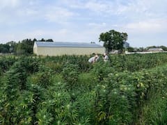 Superior Cannabis Company, LLC