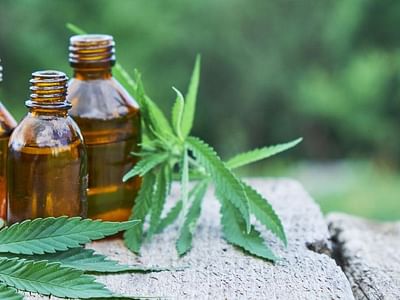 Supreme CBD PLUS | Delta 8 | Delta 9