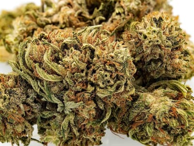 Supreme CBD PLUS | Delta 8 | Delta 9