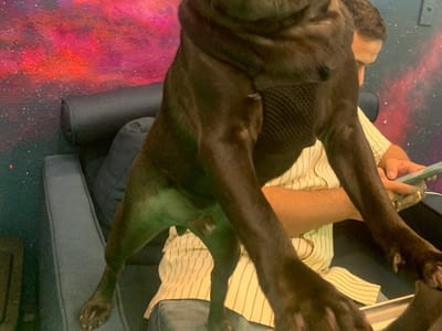 Suru CBD & smoke shop