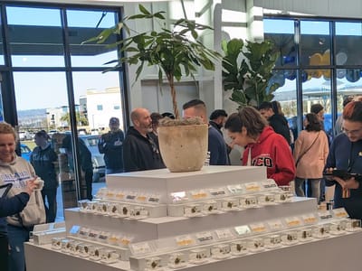 Sweet Flower Cannabis Dispensary - Chico