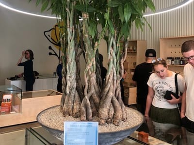 Sweet Flower - DTLA Downtown Los Angeles Cannabis Dispensary