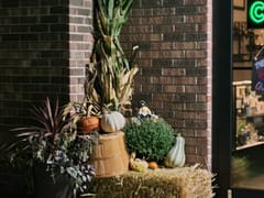 Sweet Leaf Hemp Farms - Division of Sweet Leaf Dist & Whls