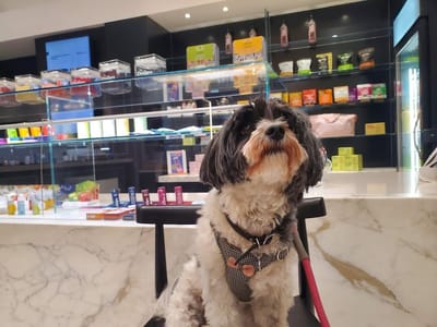 Synchronicity Holistic