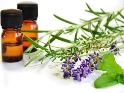 Tara's Tinctures, Tonics & Teas