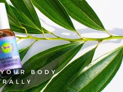 Taspen's Golden Dragonfly CBD