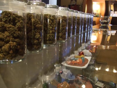 Tenderfoot Health Collective- THC Salida